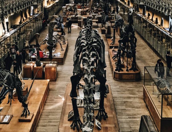 anthony-delanoix-42716-2