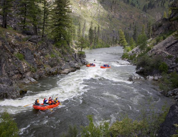 5914154453_705ece3b06_o