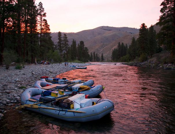 9763212016_bddf1ce8d4_o