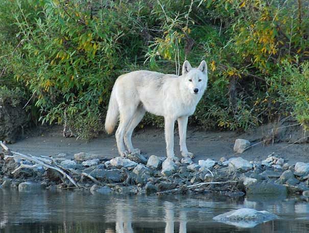 tour-waterfall-gal-3