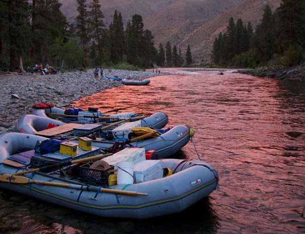 homepage-coming-soon