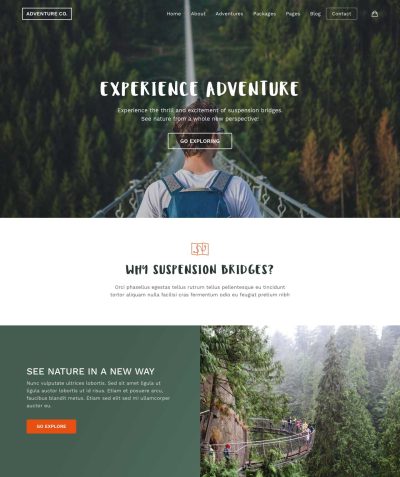 6-suspension-bridge_01